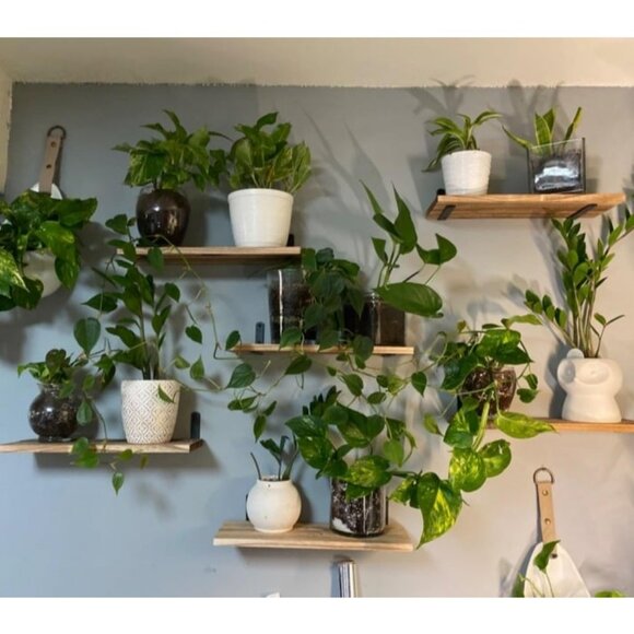 Wood Floating Shelves Set of 6, Shelves for Wall Decor, Farmhouse Shelf - Picture 1 of 3